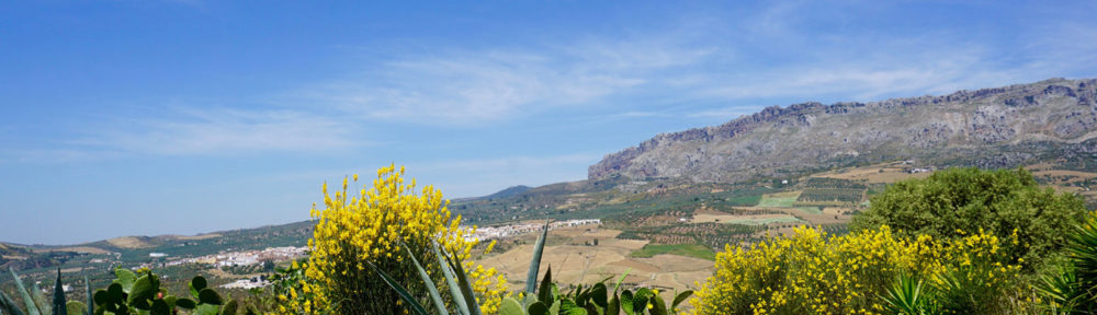 Beautiful cottage on Spanish cortijo