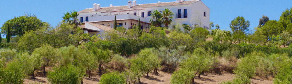 Bed & Breakfast with style in the countryside of Málaga city