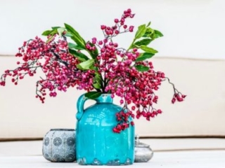 25-interieur